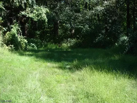 0 Fox Hl, Bethlehem Twp, NJ 08802