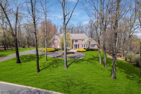 19 Laurel Mountain Way, Tewksbury Twp, NJ 07830