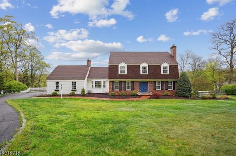 4 Eagle Nest Rd, Morristown, NJ 07960 photo 33