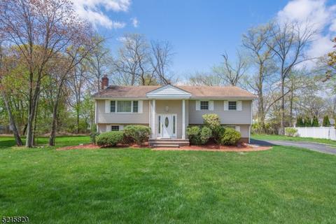 1 Hamilton Pl, Pine Brook, NJ 07058