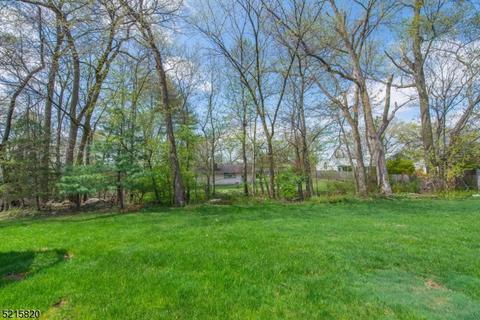 1 Hamilton Pl, Pine Brook, NJ 07058 photo 18