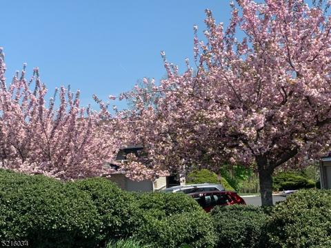 33 Hillside Ct, Clinton, NJ 08809 photo 16