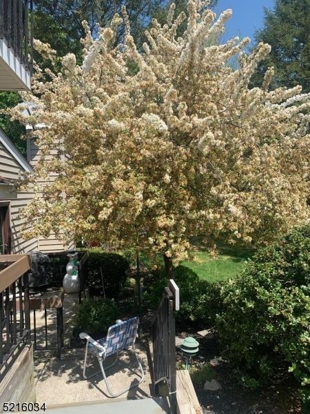 33 Hillside Ct, Clinton, NJ 08809 photo 5