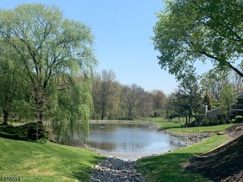 33 Hillside Ct, Clinton, NJ 08809 photo 15