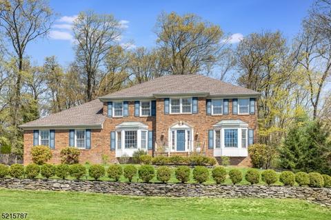 18 Winay Ter, Washington Twp., NJ 07853