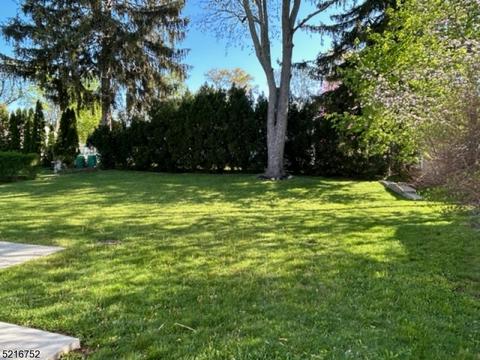 40 Mapes Ave, Springfield, NJ 07081 photo 21