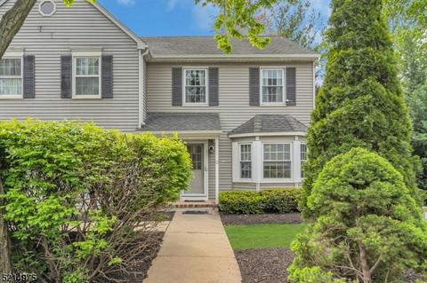 12 Village Ct, Bound Brook, NJ 08805