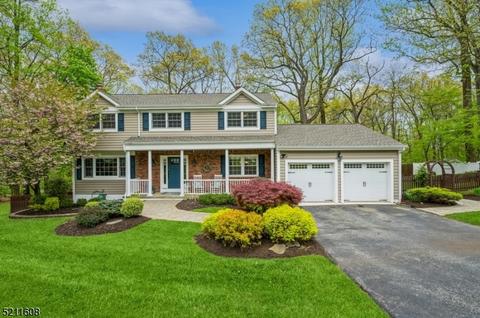 39 Misty Mountain Rd, Randolph, NJ 07869