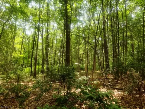 0 Olde Forge Ln, Union Twp, NJ 08827