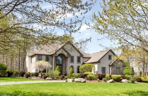 14 Wellington Dr, Long Valley, NJ 07853