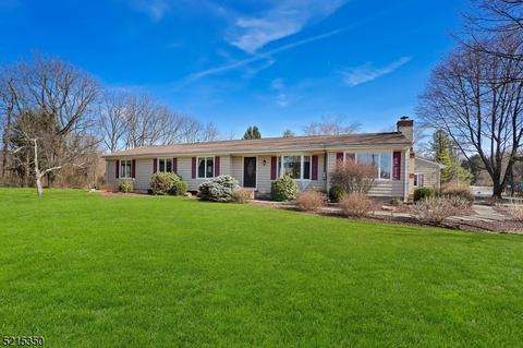 46 Mountain View Ave, Washington Twp, NJ 07853