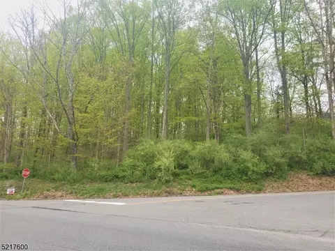 944 Route 619, Stillwater Twp, NJ 07860