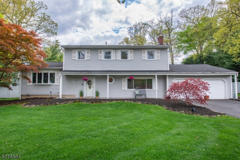 11 Ambler Way, Parsippany-troy Hills Twp., NJ 07054