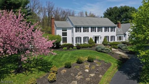 17 Chestnut Dr, Chester, NJ 07930