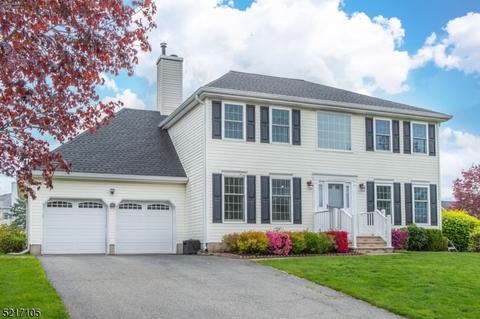 40 Crenshaw Dr, Mount Olive, NJ 07836