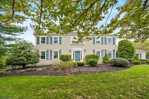 41 Dory Dilts Rd, Flemington, NJ 08822