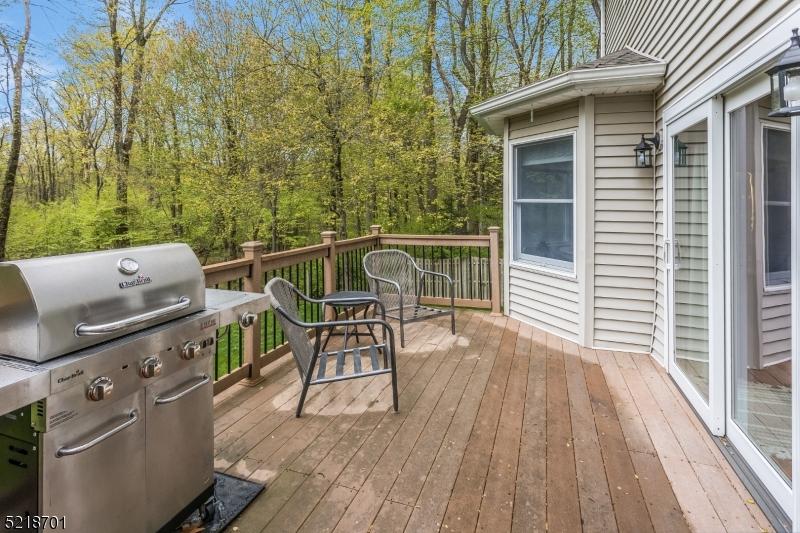  109 Oakdale Rd, Chester, NJ 07930 photo 32