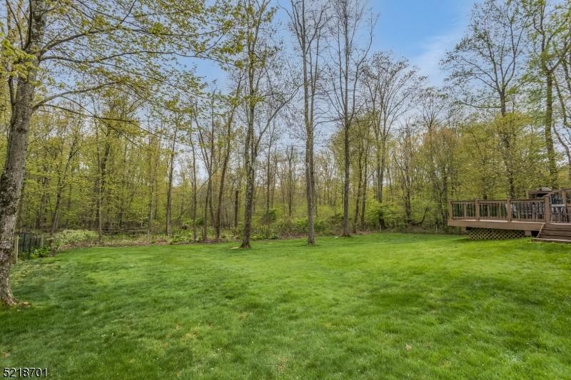  109 Oakdale Rd, Chester, NJ 07930 photo 35