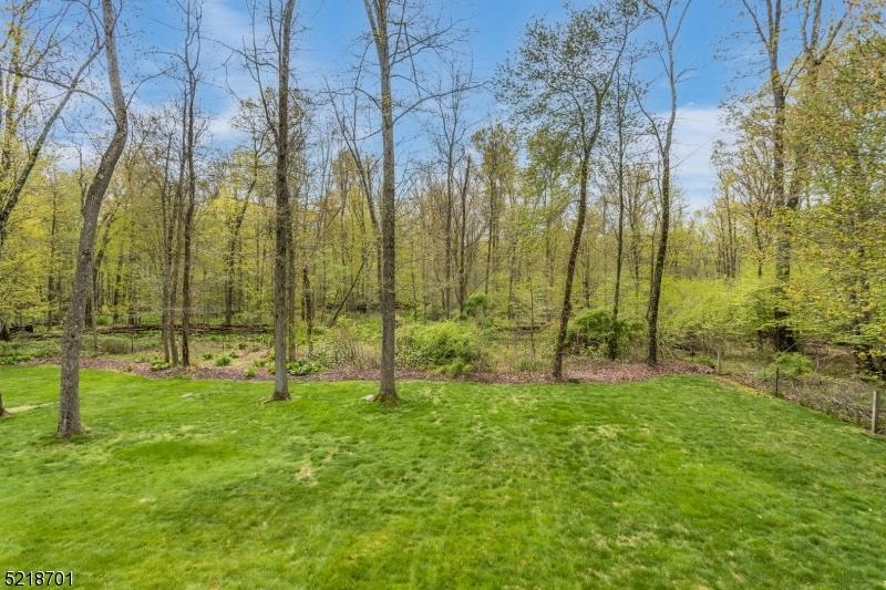  109 Oakdale Rd, Chester, NJ 07930 photo 34