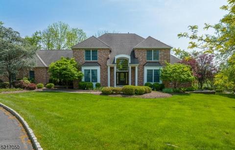 4 Nicholas Ct, Branchburg, NJ 08876