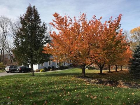 73 Spring Ln, Hackettstown, NJ 07840 photo 44