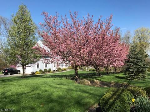73 Spring Ln, Hackettstown, NJ 07840 photo 46