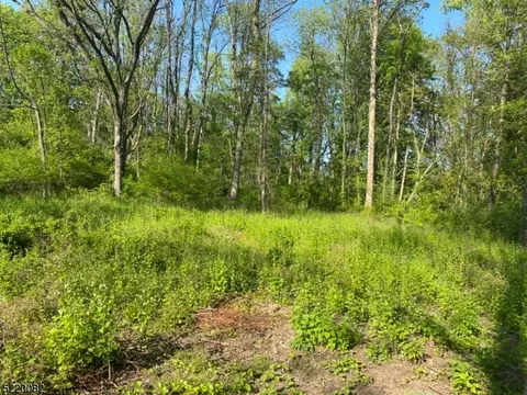 173 State Park Rd, Frelinghuysen Twp, NJ 07825
