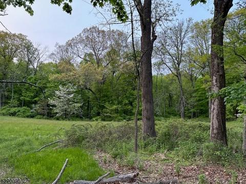 85 Mountaintop Rd # -2, Bernardsville Boro, NJ 07924