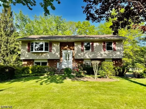 10 Crane Dr, Pine Brook, NJ 07058