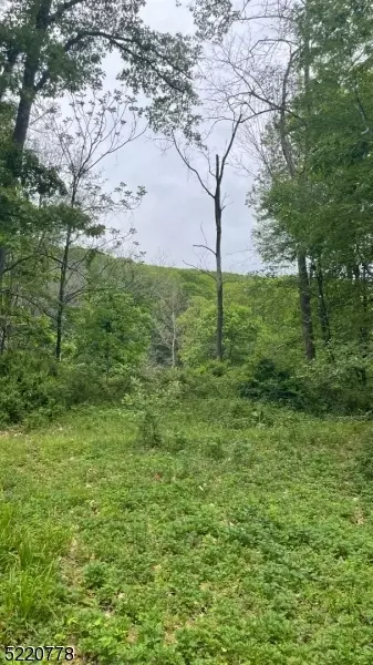 0 Gravel Hl, Holland Twp., NJ 08848