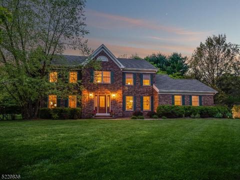 8 Carla Ann Ct, Flanders, NJ 07836