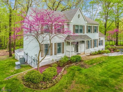 13 Timber Ridge Dr, Clinton Twp, NJ 08801