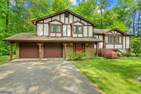 85 Bear Mountain Rd, Ringwood, NJ 07456