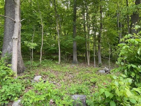 37 St Johns, Mount Olive Twp, NJ 07828