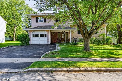12 Deerfield Pl, Flanders, NJ 07836