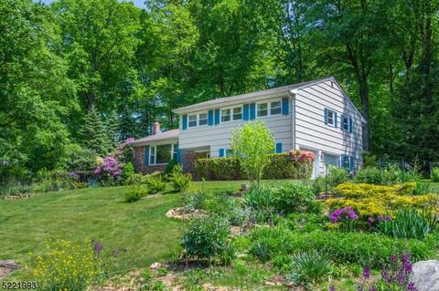 19 Old Mill Dr, Denville, NJ 07834