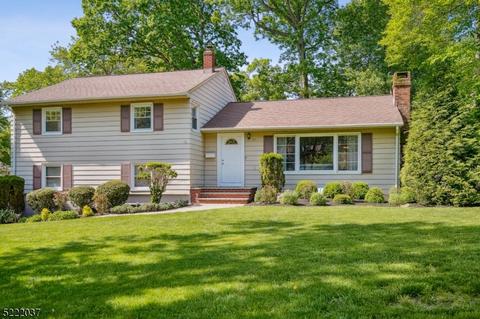 57 Havenwood Dr, Livingston, NJ 07039