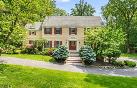 12 Farm Rd, Chester, NJ 07930