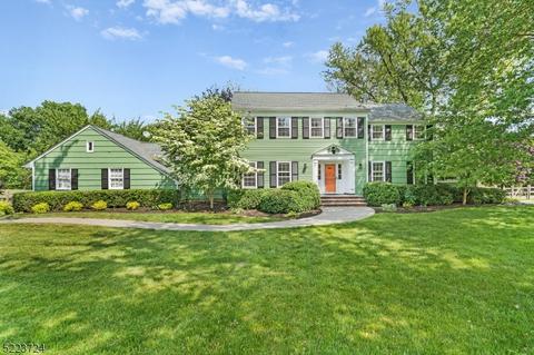 3 Oratam Dr, Peapack And Gladstone, NJ 07977