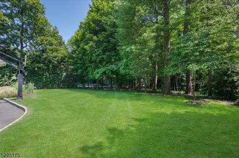 51 Sunset Dr, Summit, NJ 07901 photo 29