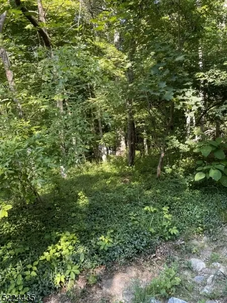 5 Christine Rd, Independence Twp, NJ 07840