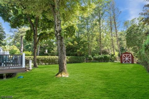 142 Emerald Ct, Paramus, NJ 07652 photo 32