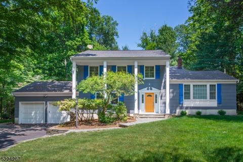 6 Overbrook Rd, Randolph, NJ 07869