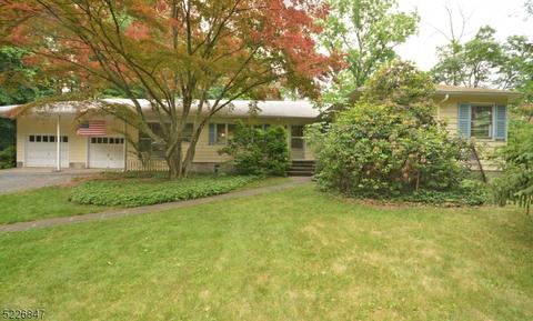 21 Lees Hl, Basking Ridge, NJ 07920