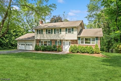 8 Franklin Rd, Mendham Boro, NJ 07945