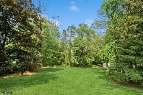 8 Franklin Rd, Mendham Boro, NJ 07945 photo 7