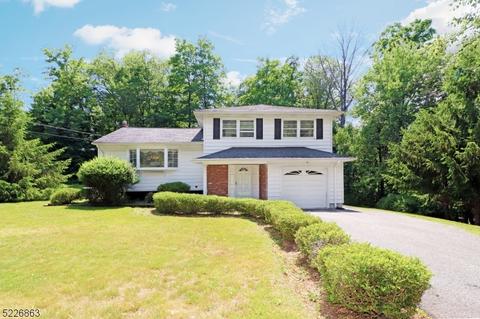 7 Van Dorn Pl, Denville, NJ 07834