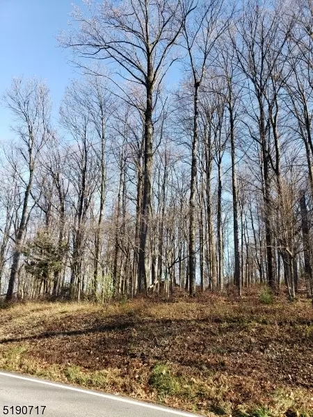 393 Sidney Rd, Franklin Twp, NJ 08801