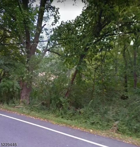 307 Mountain Lake Rd, Liberty Twp., NJ 07838