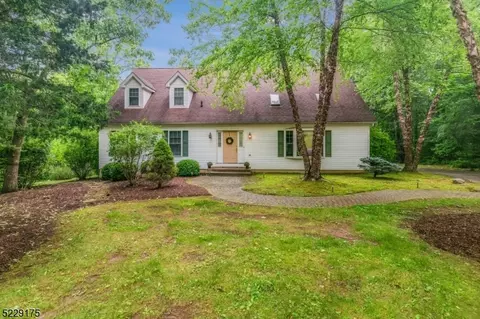 11 Minisink Dr, Montague, NJ 07827